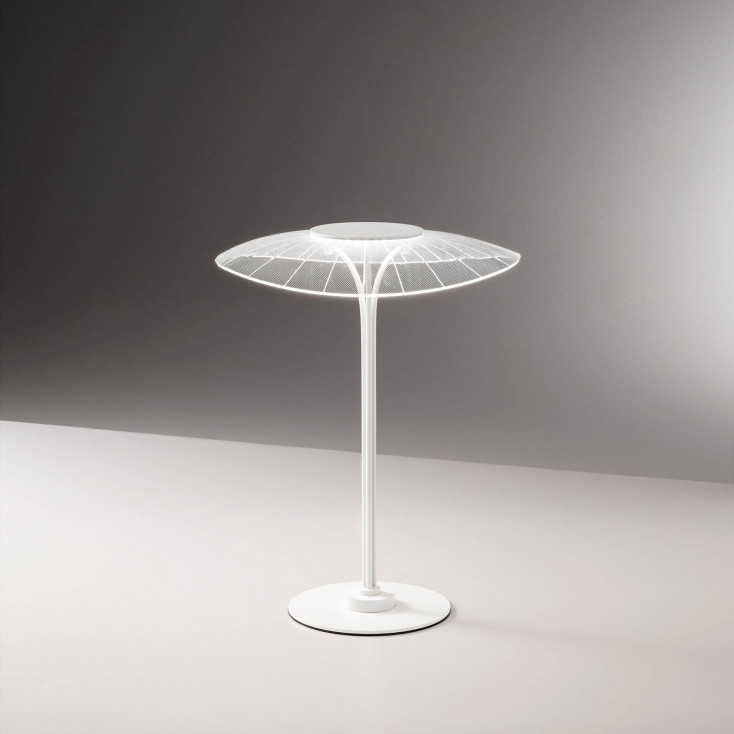 Lampada da tavolo a LED con struttura in metallo dal design moderno