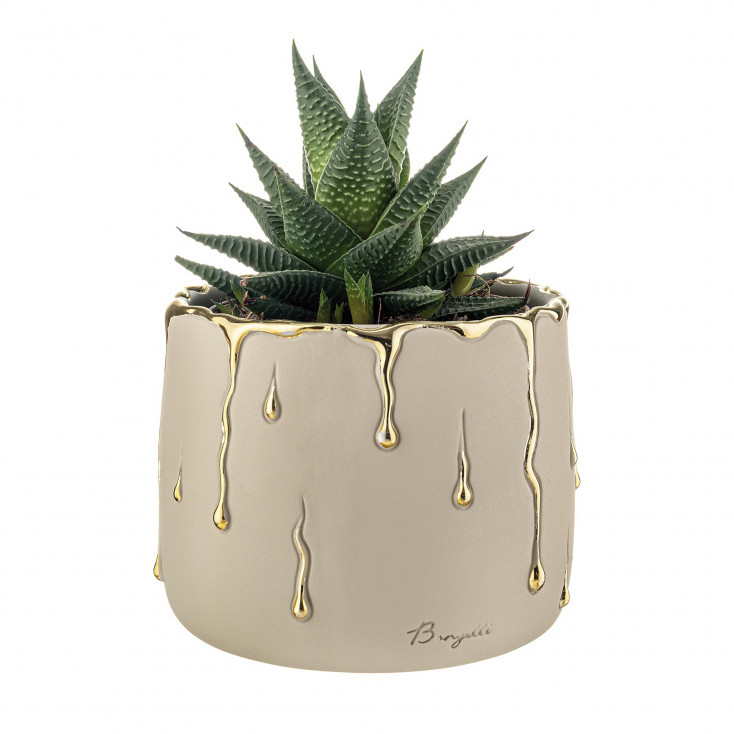 Vaso piccolo in marmorino con decori a goccia design elagante con piantina