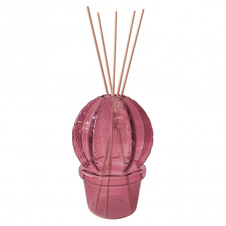 Bottiglia diffusore per fragranze a forma di cactus con bastoncini