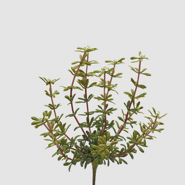 Pianta artificiale Cespuglio di Portulacca