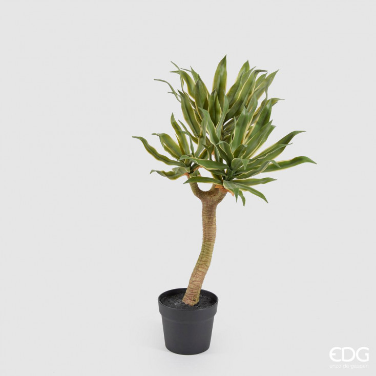 Pianta artificiale con agave chic e vaso