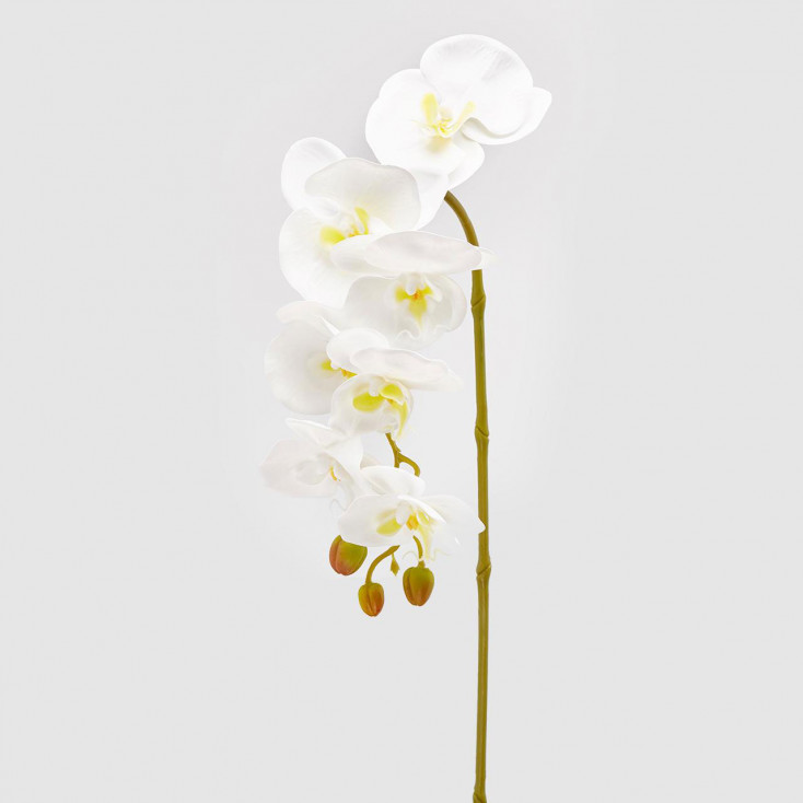 Pianta artificiale rametto di Orchidea Olisramo