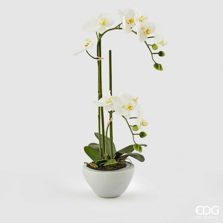 Pianta con vaso Orchidea artificiale
