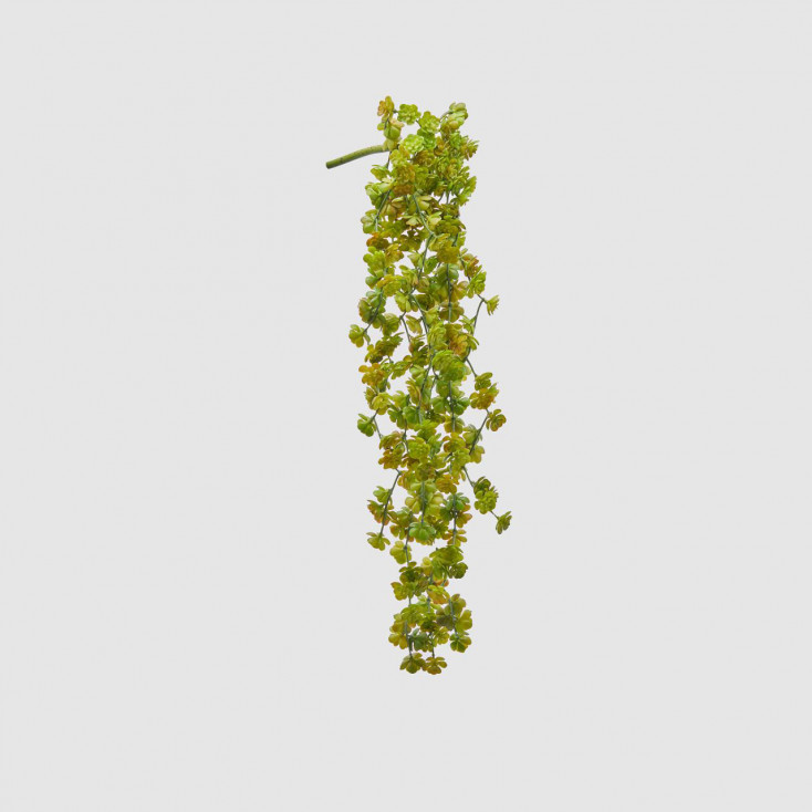 Piantina artificiale con cespuglio di Echeveria Olis