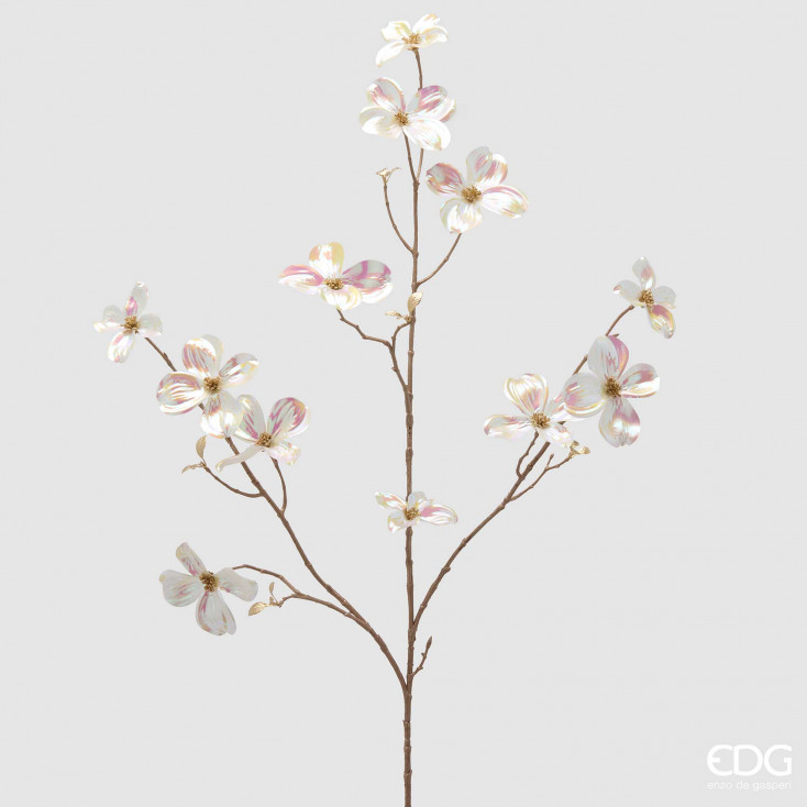 Ramo di Cornus Glossy