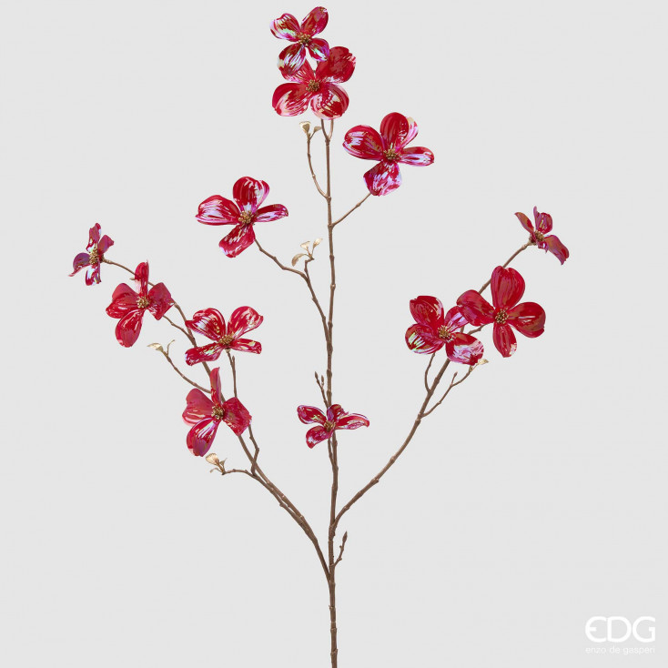 Ramo di Cornus Glossy