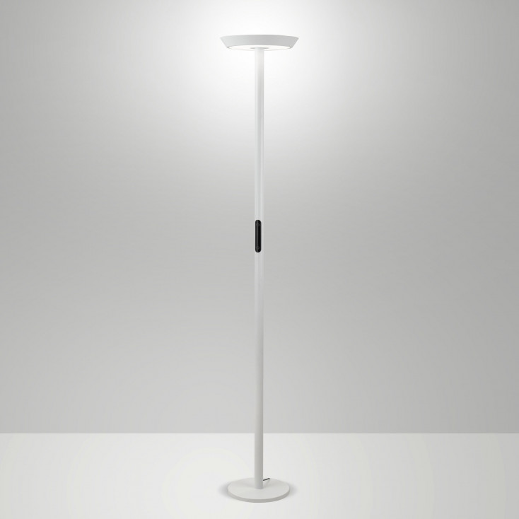 Piantana a led dimmerabile dal design moderno