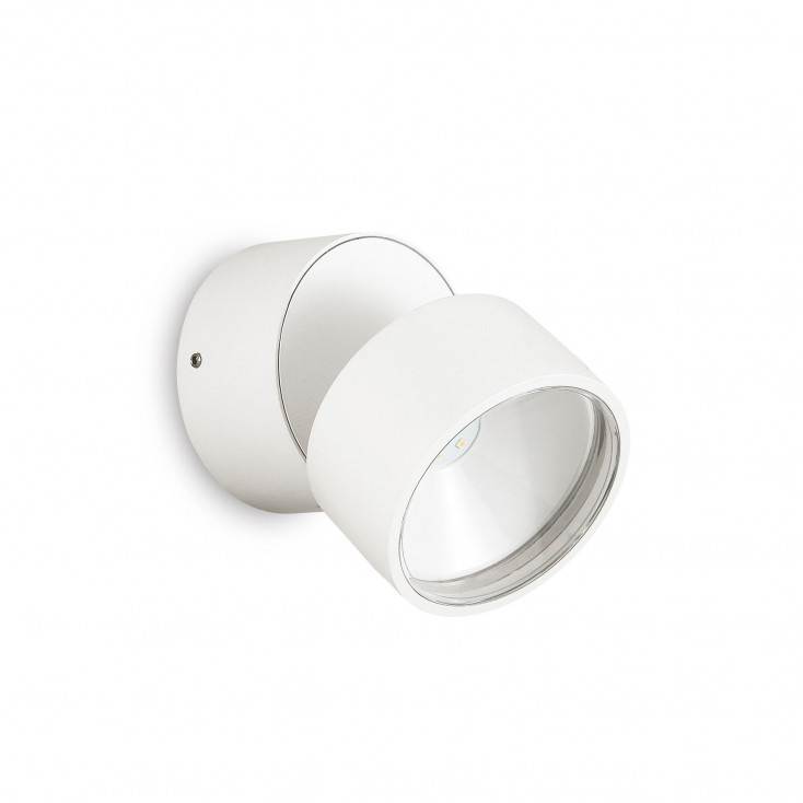 Applique da esterno a led in alluminio e diffusore orientabile in vetro