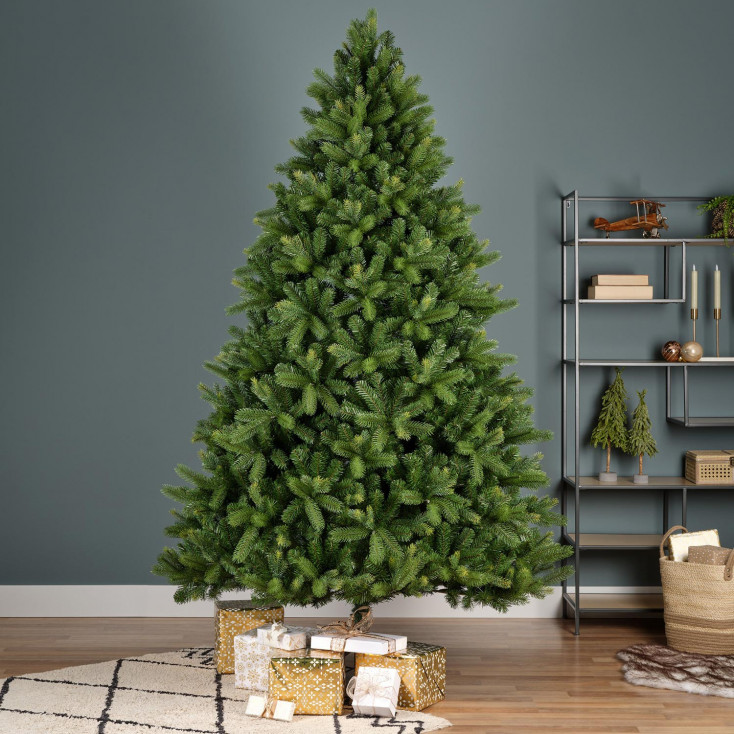 Albero di Natale Pino di Friburgo