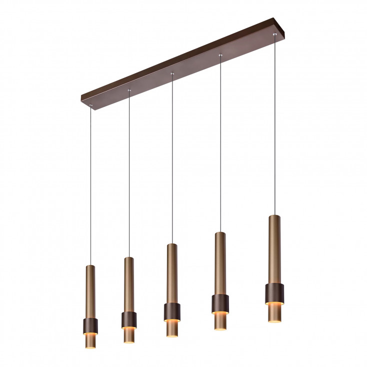 Lampada a sospensione con 5 diffusore a LED dal design moderno ed elegante