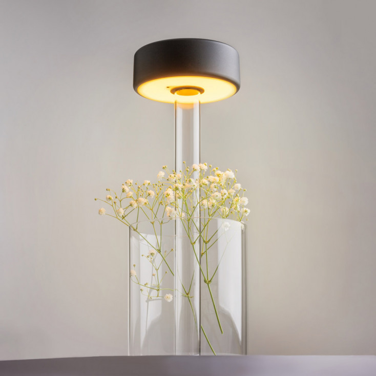 Lampada da tavolo in vetro dal design moderno con diffusore a LED ricaricabile