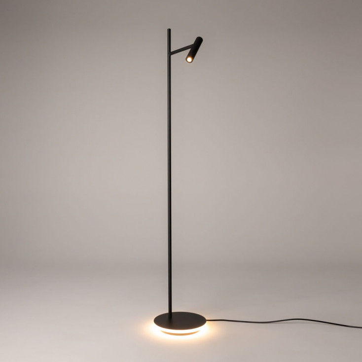 Lampada da terra moderna a LED con struttura in metallo