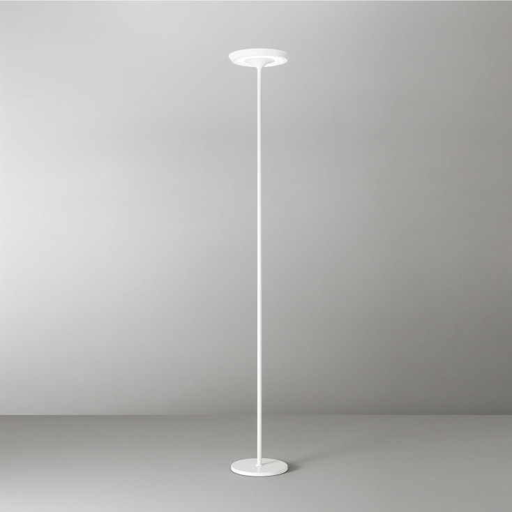 Pianatana a led struttura in metallo e diffusore in acrilico
