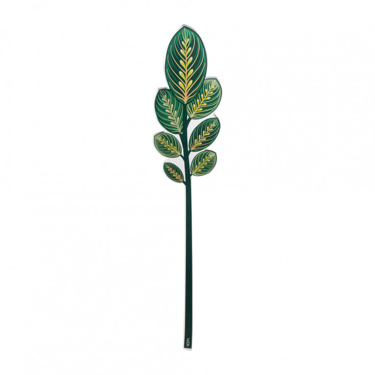 Fiore di calathea grande in plexiglass per vaso
