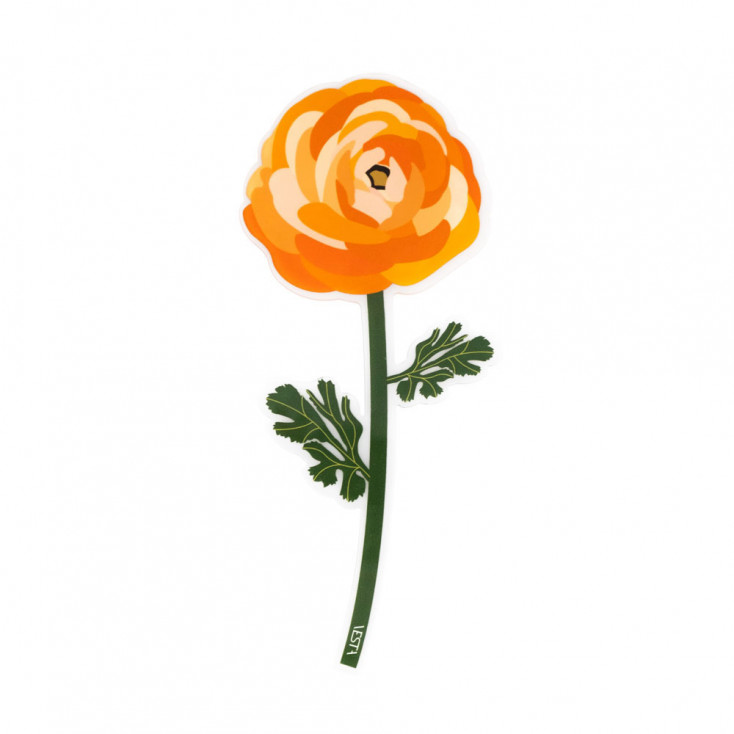 Fiore di ranuncolo in plexiglass per vaso