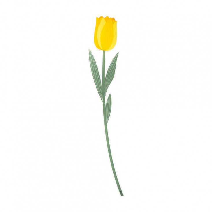 Fiore di tulipano grande in plexiglass per vaso