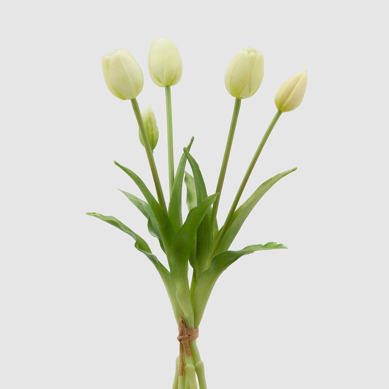 EDG Enzo De Gasperi Bouquet di 5 Tulipani Chiusi Gomma H 40 Cm Ass. Re – L'Arcolaio