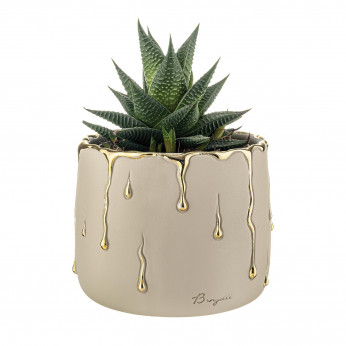 Bongelli Preziosi Vaso grande in marmorino con decori a goccia design elagante con piantina Rugiada