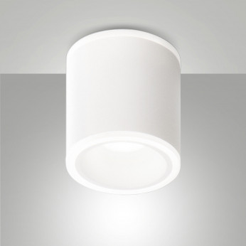 Fabas Luce Faretto da soffitto a LED cilindrico in alluminio Paca