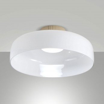 Fabas Luce Plafoniera da soffitto in metallo a LED dimmerabile e diffusore in vetro Lunar