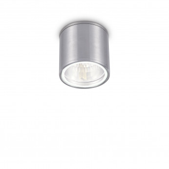 Ideal lux Plafoniera da esterno con struttura in alluminio e diffusore in vetro Gun