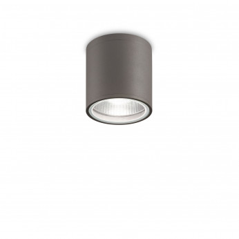 Ideal lux Plafoniera da esterno con struttura in alluminio e diffusore in vetro Gun
