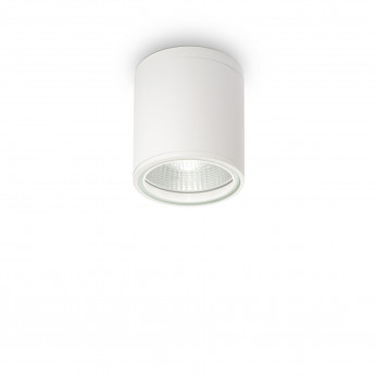 Ideal lux Plafoniera da esterno con struttura in alluminio e diffusore in vetro Gun