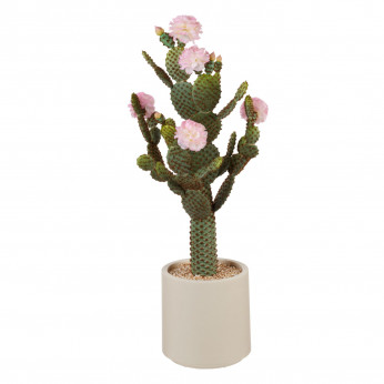 L'Oca Nera Pianta artificale con vaso cactus fiori rosa Fashion