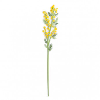 Vesta Fiore di mimosa grande in plexiglass per vaso Funny flowers