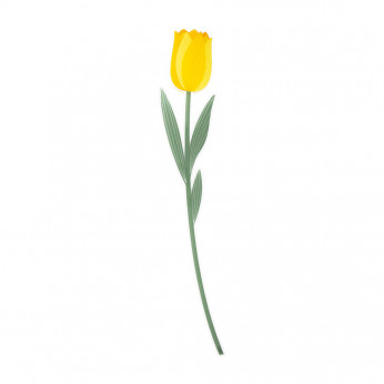 Vesta Fiore di tulipano grande in plexiglass per vaso Funny flowers