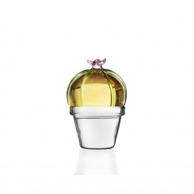 Ichendorf - Desert Plants - Fermacarte in vetro con cactus - Colore: Ambra - SKU: 09352113