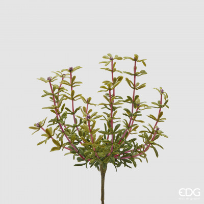 EDG - Enzo de Gasperi Pianta artificiale Cespuglio di Portulacca Colore: Fucsia