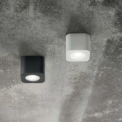 Fabas Luce - Palmi - Faretto da soffitto in metallo 1 luce a LED - 1 Lampadina Led Integrato 6W - Lumen 540 - Gradi Kelvin 3000k Luce Calda - IP20 - SKU: 3429-71