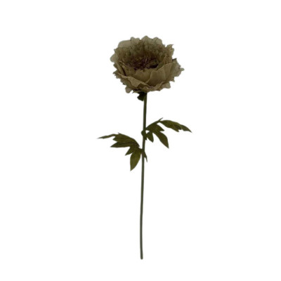 Bizzotto Chantel Ramo di peonia chantel Colore: Marrone
