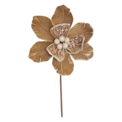 Bizzotto Ramo pick magnolia asteria Colore: Biscotto