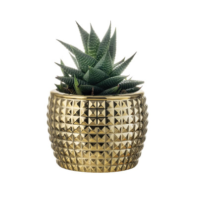 Bongelli Preziosi - Diamond - Vaso in marmorino grande dal design elegante - Colore: Oro - SKU: ME2681/2OR