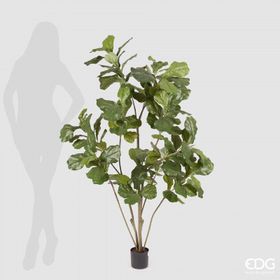 EDG - Enzo de Gasperi - Pianta artificiale con ficus lyrata con vaso grande - Colore: Verde - SKU: 238799-70