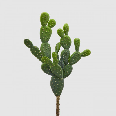 EDG - Enzo de Gasperi - Pianta artificiale con ramo di Cactus Bell Pick - Colore: Verde - SKU: 232895-70