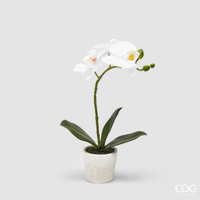 EDG - Enzo de Gasperi Pianta artificiale con vaso orchidea Colore: Bianco