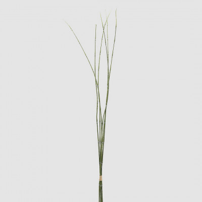 EDG - Enzo de Gasperi - Pianta artificiale Mazzo di Equisetum - Colore: Verde - SKU: 2300118A700