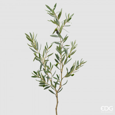 EDG - Enzo de Gasperi - Pianta artificiale ramo di olivo true - Colore: Verde - SKU: 2500077A700