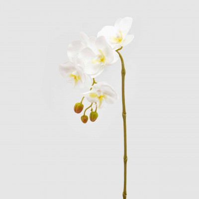 EDG - Enzo de Gasperi - Pianta artificiale ramo di Orchidea singolo - Colore: Bianco - SKU: 214970-10
