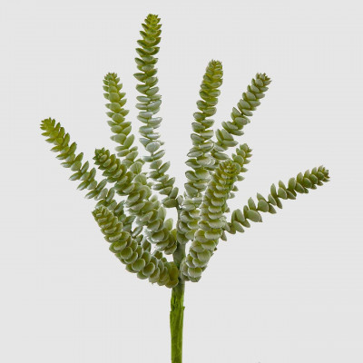 EDG - Enzo de Gasperi - Pianta artificiale ramo di Succulent West Logan - Colore: Salvia - SKU: 231420-88
