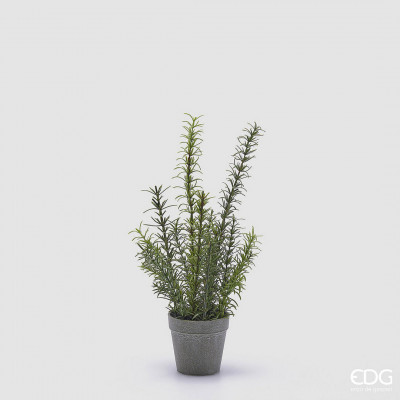 EDG - Enzo de Gasperi - Pianta artificiale rosmarino con vaso - Colore: Verde - SKU: 2300088A700