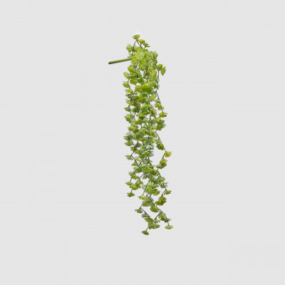 EDG - Enzo de Gasperi Piantina artificiale con cespuglio di Echeveria Olis Colore: Verde Chiaro