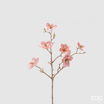 EDG - Enzo de Gasperi Glossy Ramo di magnolia glossy Colore: Rosa