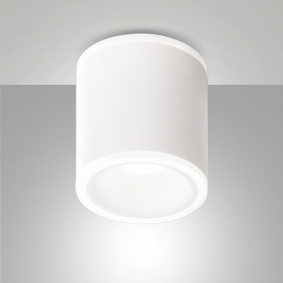 Fabas Luce - Paca - Faretto da soffitto a LED cilindrico in alluminio - Colore: Bianco - 1 Lampadina - Led Integrato - 13W - Lumen 825 - Gradi Kelvin 3000k Luce Calda - IP40 - SKU: 6581-02-754