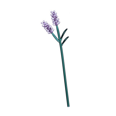 Ichendorf - Botanica - Fiore decorativo in vetro soffiato a forma di ramo lavanda lilla - Colore: Lilla - SKU: 09354086
