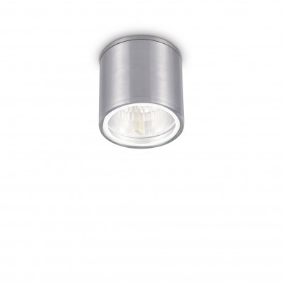 Ideal lux Gun Plafoniera da esterno con struttura in alluminio e diffusore in vetro Colore: Alluminio