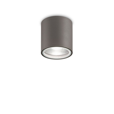 Ideal lux Gun Plafoniera da esterno con struttura in alluminio e diffusore in vetro Colore: Antracite